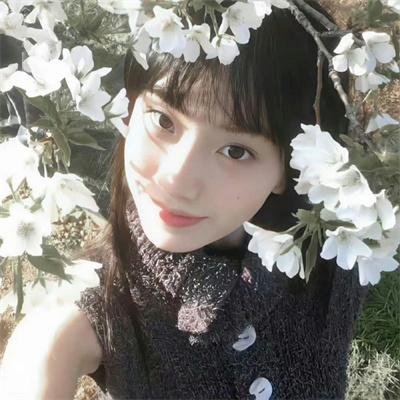 双旗镇刀客